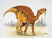 Dinosaur eating grass,illustration