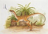 Dinosaur chasing a bird,illustration