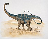 Euhelopus dinosaur,illustration