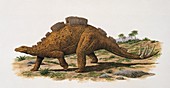Wuerhosaurus dinosaur,illustration