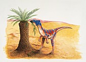 Microceratops dinosaur,illustration