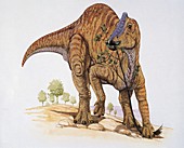 Prosaurolophus dinosaur,illustration