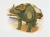 Brachyceratops,illustration