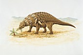 Edmontonia dinosaur,illustration