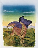 Montanoceratops,illustration