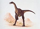 Deinocheirus,illustration