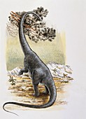 Dinosaur eating a leaf,illustration