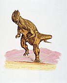 Dilophosaurus,illustration