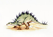 Illustration of Lexovisaurus