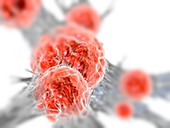 Cancer cell,illustration