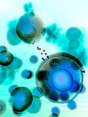 Cell signalling,illustration