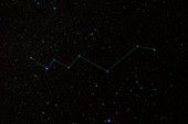 Lacerta Constellation