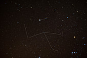Monoceros and Canis Minor Constellations