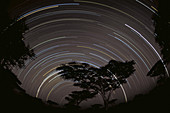 Star trails over the Southern Serengeti