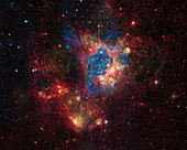 NGC 1929,LMC N44 Superbubble,Composite