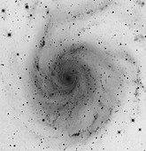 The Pinwheel Galaxy,M101