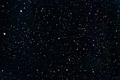 Nova in Sagittarius,2012