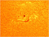 Sunspot 1471