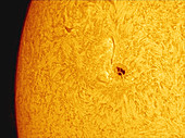 Sunspot