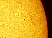 Sunspot 1806,2013