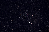 Open Star Cluster M41
