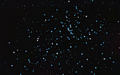 Open Star Cluster M48