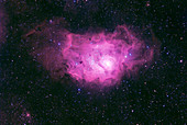 The Lagoon Nebula M8