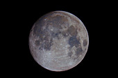 Gibbous Moon,September 8,2014