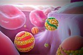 Cholesterol particles,illustration