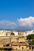 Herculaneum and Vesuvius