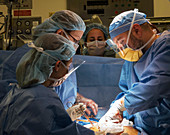 Surgical team at work