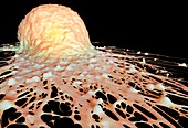 Cancer cell,illustration