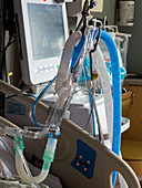 Ventilator tubing