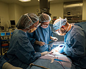Bowel obstruction surgery