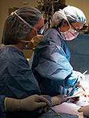 Surgical training