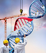 Genetic engineering,conceptual image