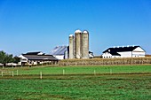 Amish farm,Pennsylvania,USA