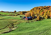 Farm in autumn,Vermont,USA