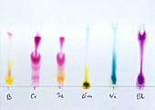 Chromatography of coloured inks