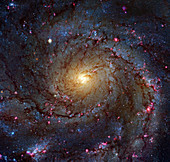 Pinwheel Galaxy,HST image