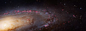 Andromeda Galaxy,PHAT image