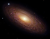 Spiral galaxy NGC 2841,composite image