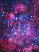 Vela supernova remnant