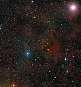Nebulae in HL Tauri star region