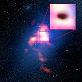 Abell 2597 galaxy cluster,ALMA shadow