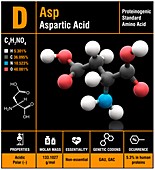 Aspartic acid amino acid molecule