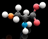 Selenocysteine amino acid molecule