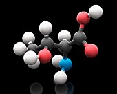 Threonine amino acid molecule