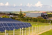 Farm based solar plant,Cornwall,UK