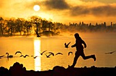 Man running at dawn,Lake Windermere,UK